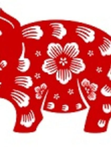 year of the pig at the Sebel Residence Chatswood