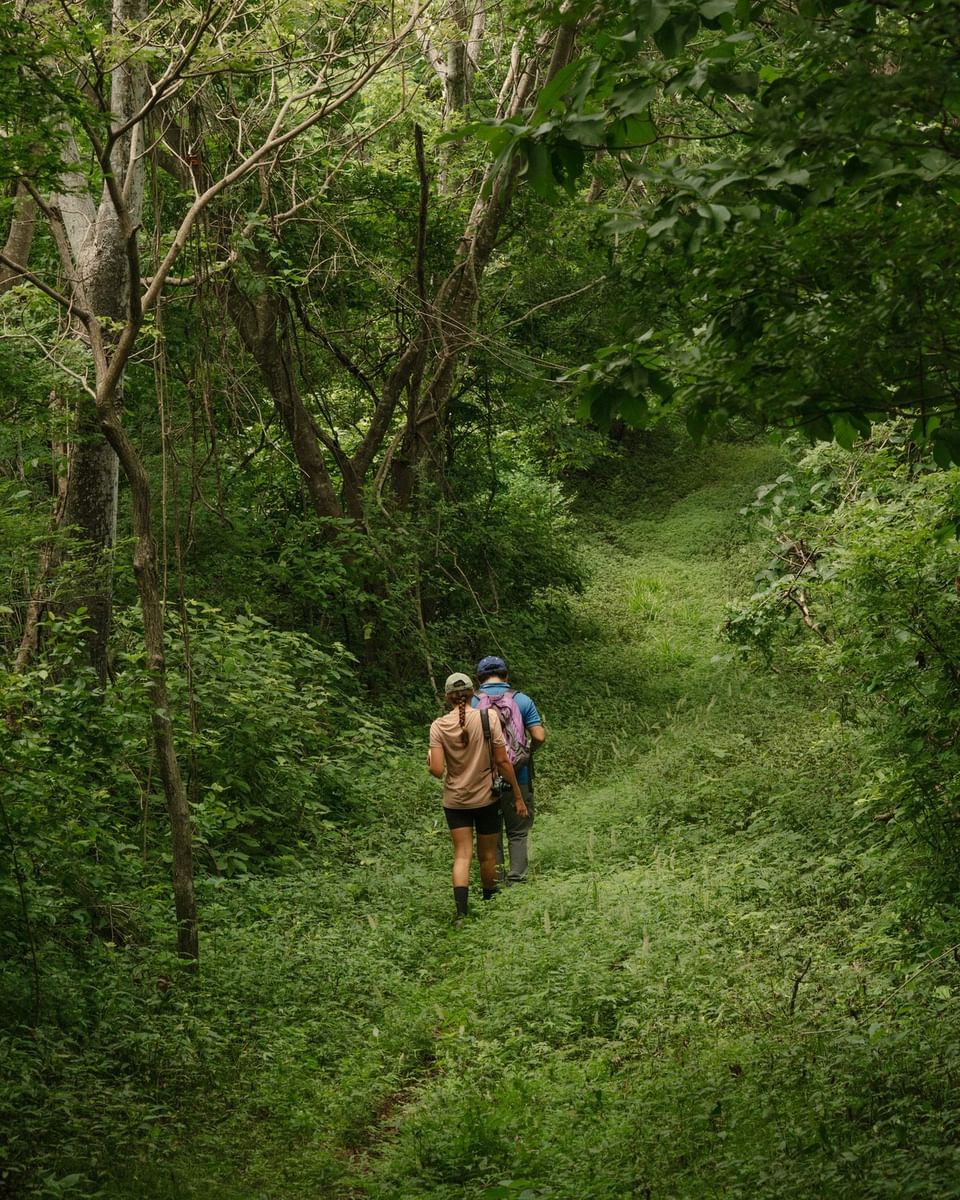 Two guests hiking lush green Palo de Pluma trails at Morgan’s Rock Reserve & Ecolodge