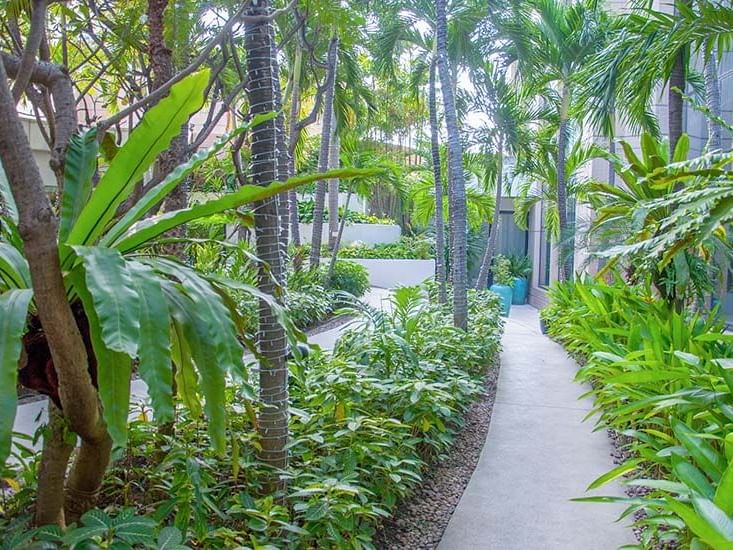 Walkways in the garden with palm trees at Emporium Suites