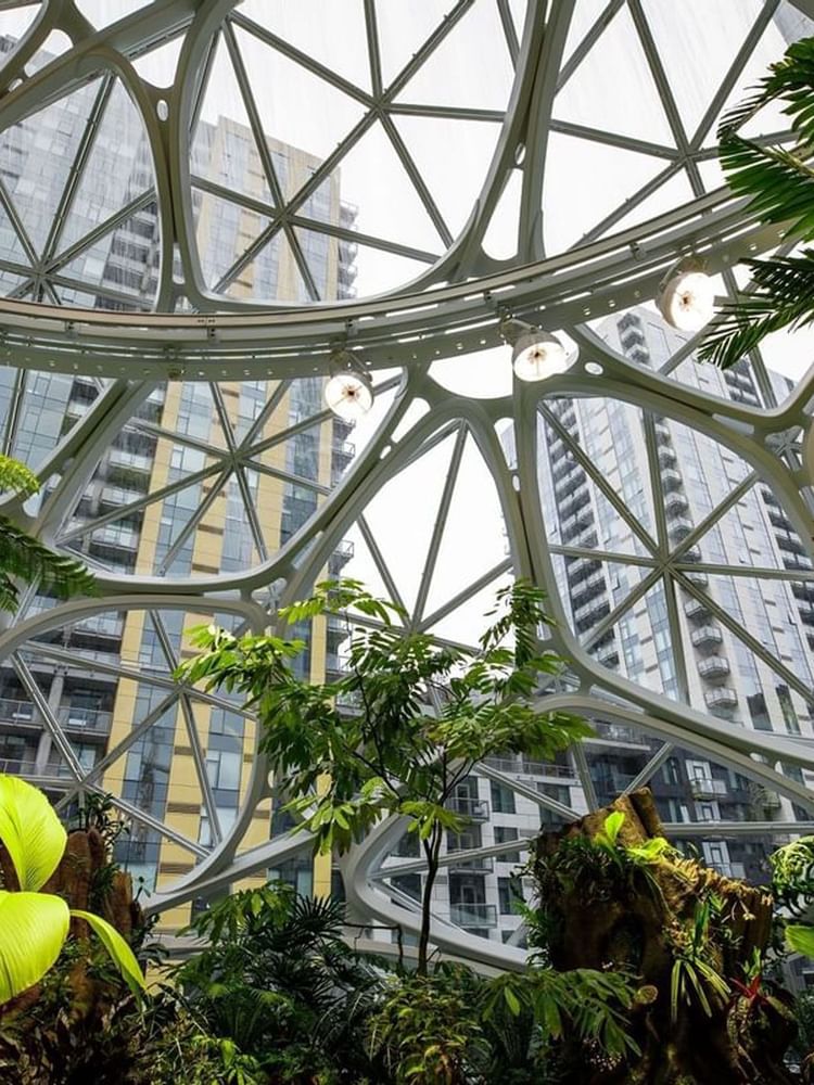 The Spheres with Geometric glass dome featuring tropical plants and trees by tall city buildings near Warwick Seattle
