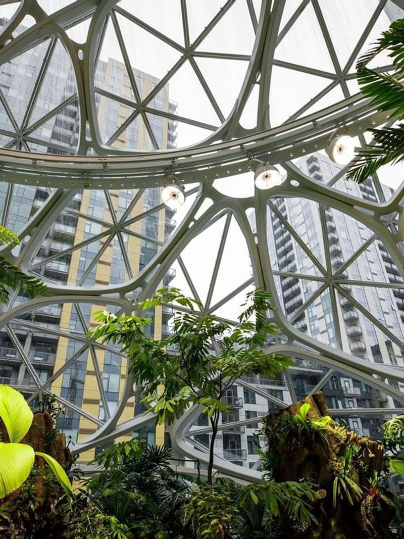 The Spheres with Geometric glass dome featuring tropical plants and trees by tall city buildings near Warwick Seattle