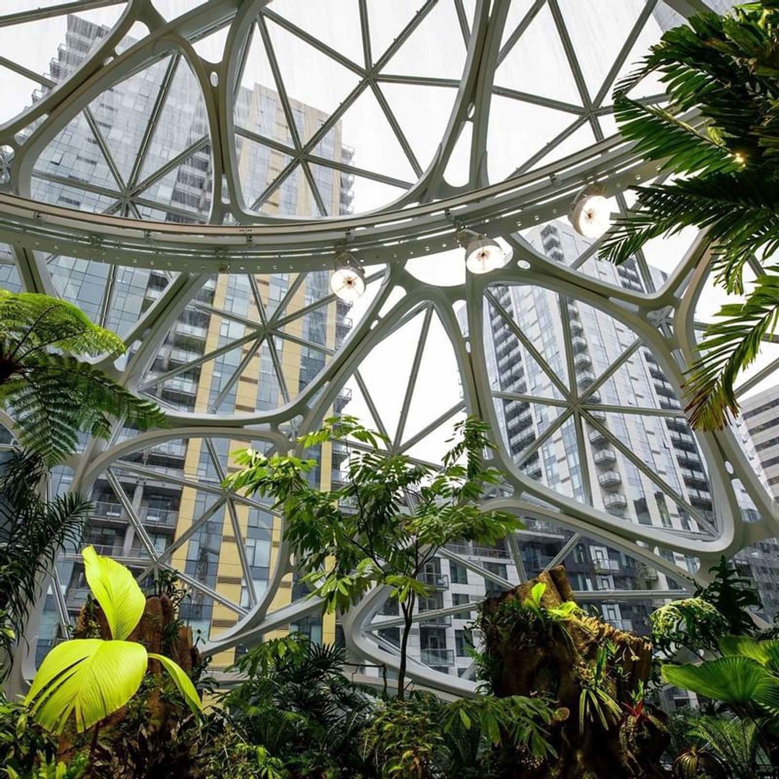 The Spheres with Geometric glass dome featuring tropical plants and trees by tall city buildings near Warwick Seattle