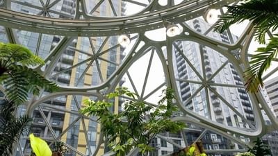 The Spheres with Geometric glass dome featuring tropical plants and trees by tall city buildings near Warwick Seattle