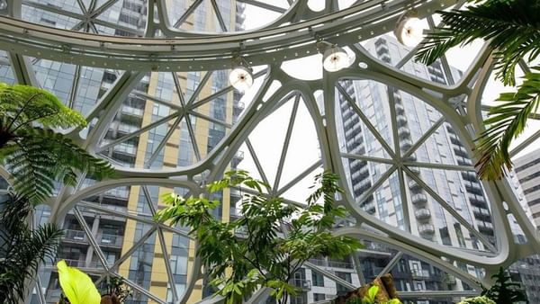 The Spheres with Geometric glass dome featuring tropical plants and trees by tall city buildings near Warwick Seattle