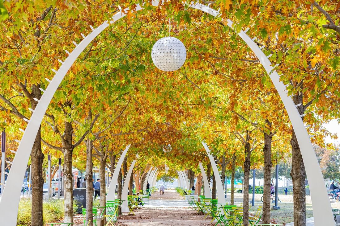 White arches under yellow autumn leaves by green chairs in a park walkway near Warwick Melrose Dallas