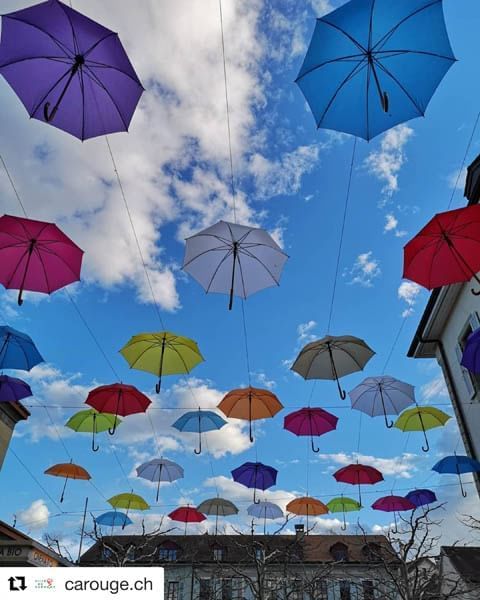 Close-up of umbrella arts at  Warwick Geneva
