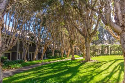 Garden Courtyard | Hotels in Carlsbad | Carlsbad by the Sea Hotel