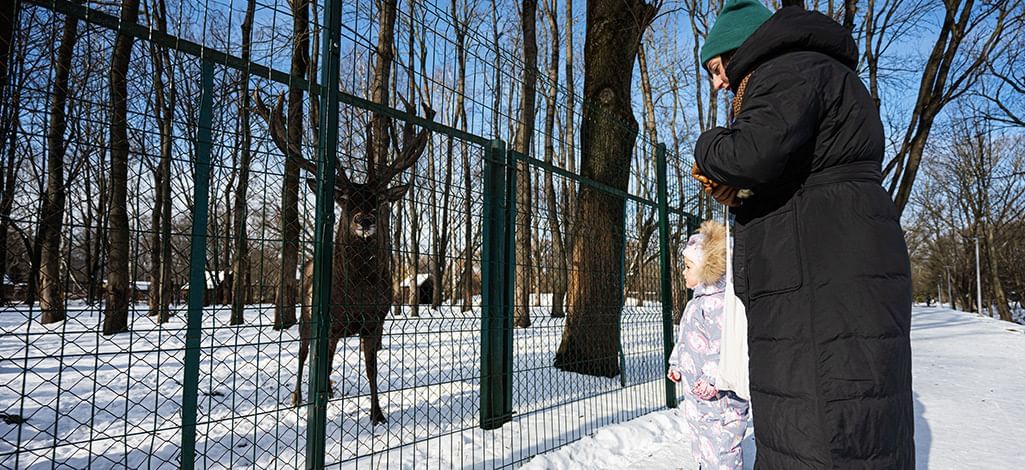 mother and child looking at a reindeer