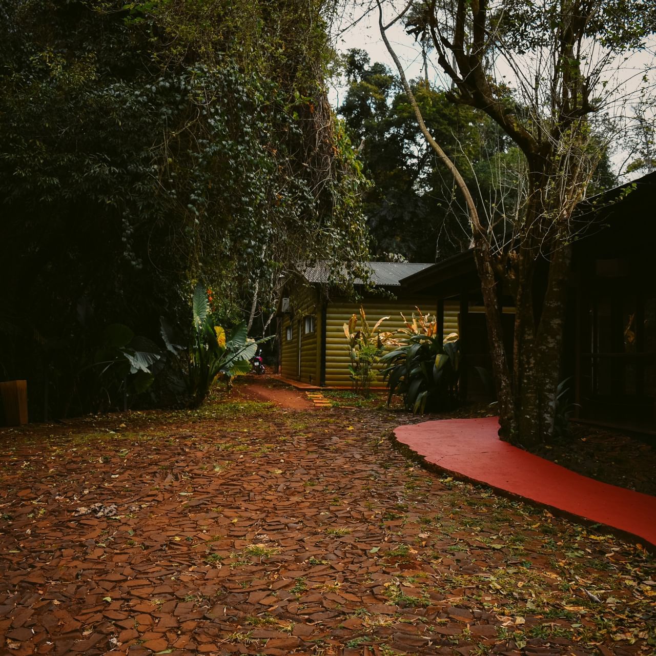 A pathway along the lawn at La Cantera Lodge de Selva