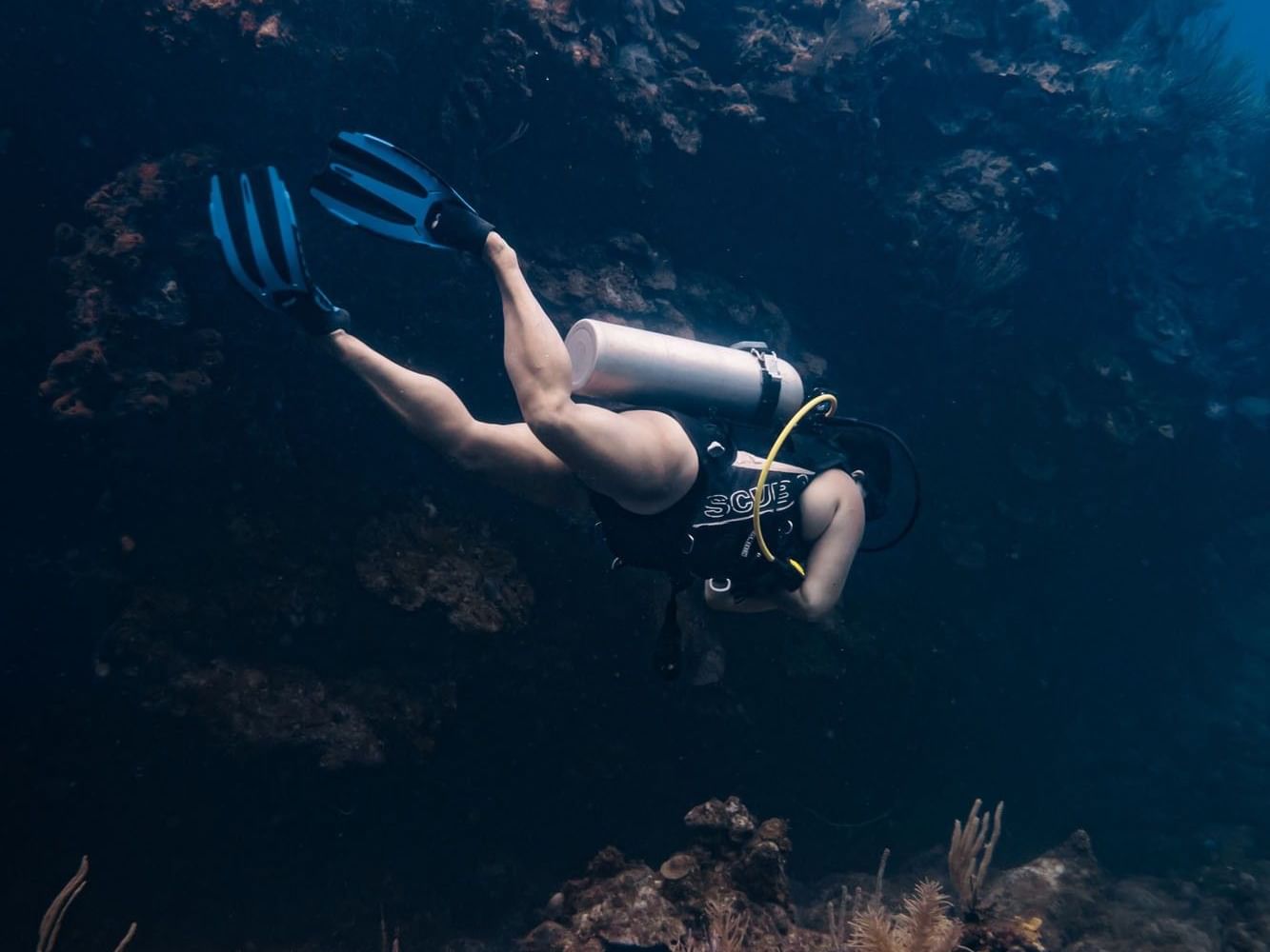 Diver swimming past a coral reef wall during Roatan, Honduras scuba diving near Barefoot Cay Resort & Marina