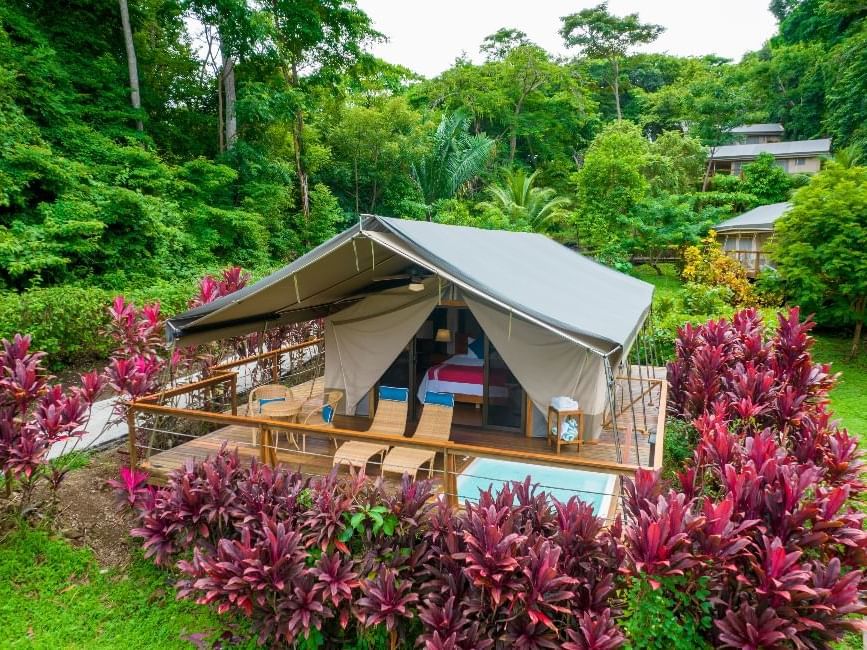 Exterior view of Premium Tent Ocean View King Bed with lush greenery at Isla Chiquita Glamping Hotel