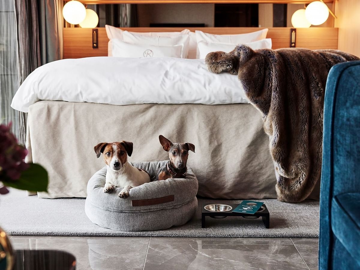 Pet-friendly Hotel Riverton Gothenburg