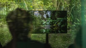 Parque Terra Nostra inaugura novas infraestruturas  e apresenta nova imagem 