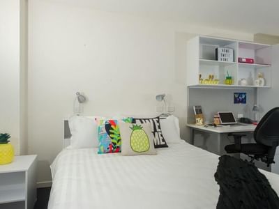 Studio Double Deluxe