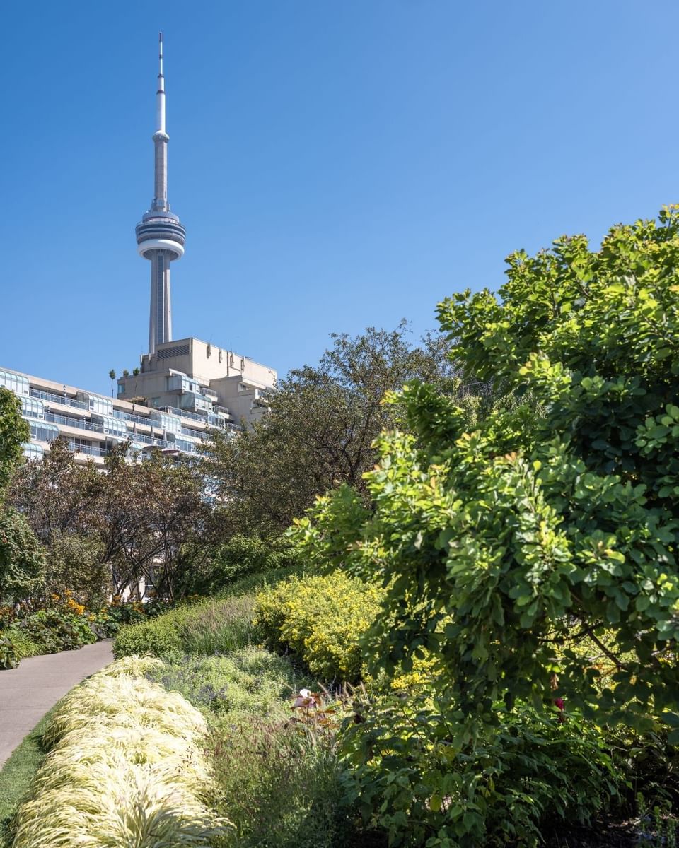 CN Tower rising above buildings by lush garden paths under a clear blue sky near Hotel X Toronto