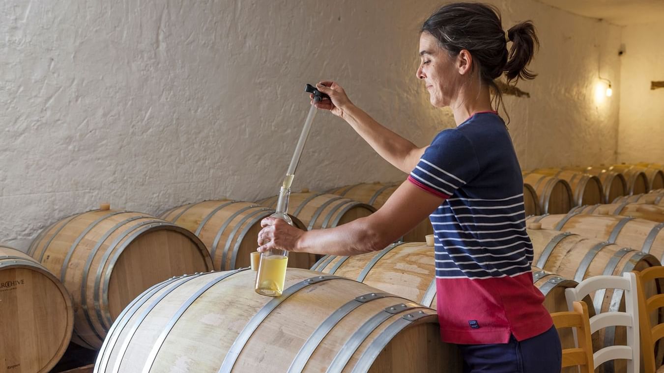 A lady at a wine cellar examing wine near Originals Hotels