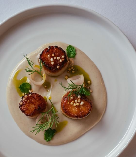 A Scallops with black pudding plate served at Malcolm Hotel
