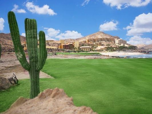 Golf course area in Los Cabos at La Colección