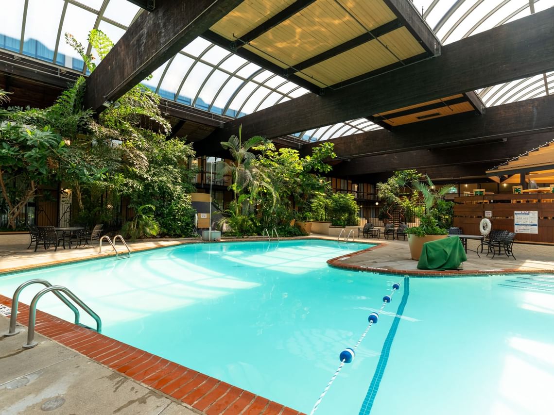 Indoor Courtyard Pool with a Retractable Roof and Cocktail Service ...
