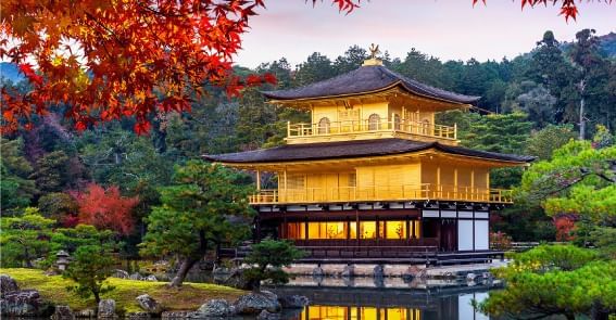 Aerial view of Kinkaku-ji Temple near Hop Inn Hotel