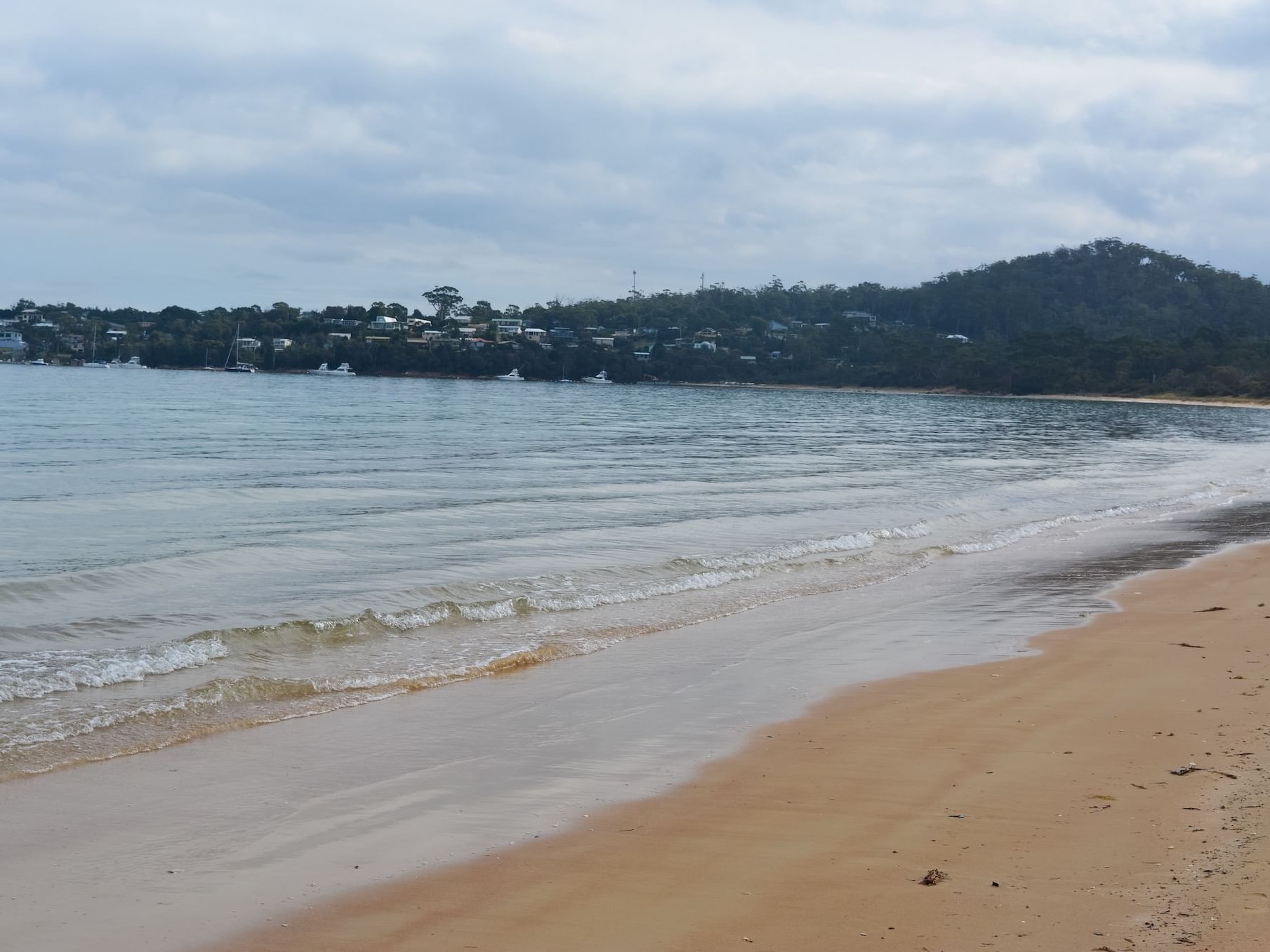 Scenic view of the beach & mountain near Freycinet Lodge 