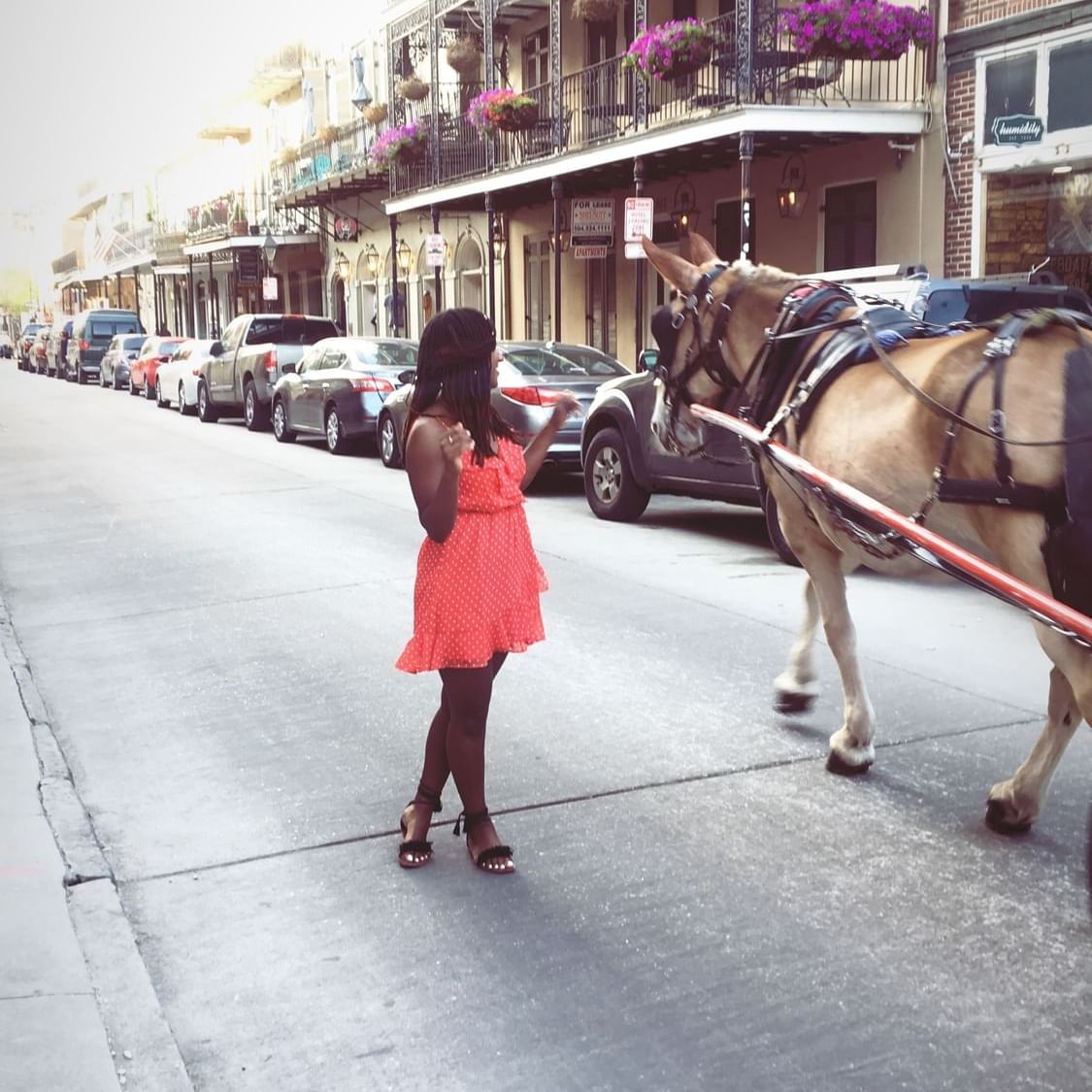 Lady posing by a horse in the street near La Galerie Hotel
