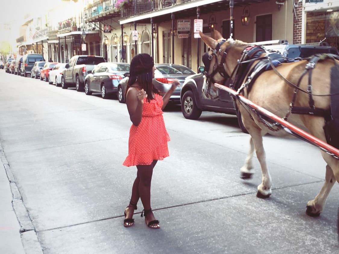 Lady posing by a horse in the street near La Galerie Hotel