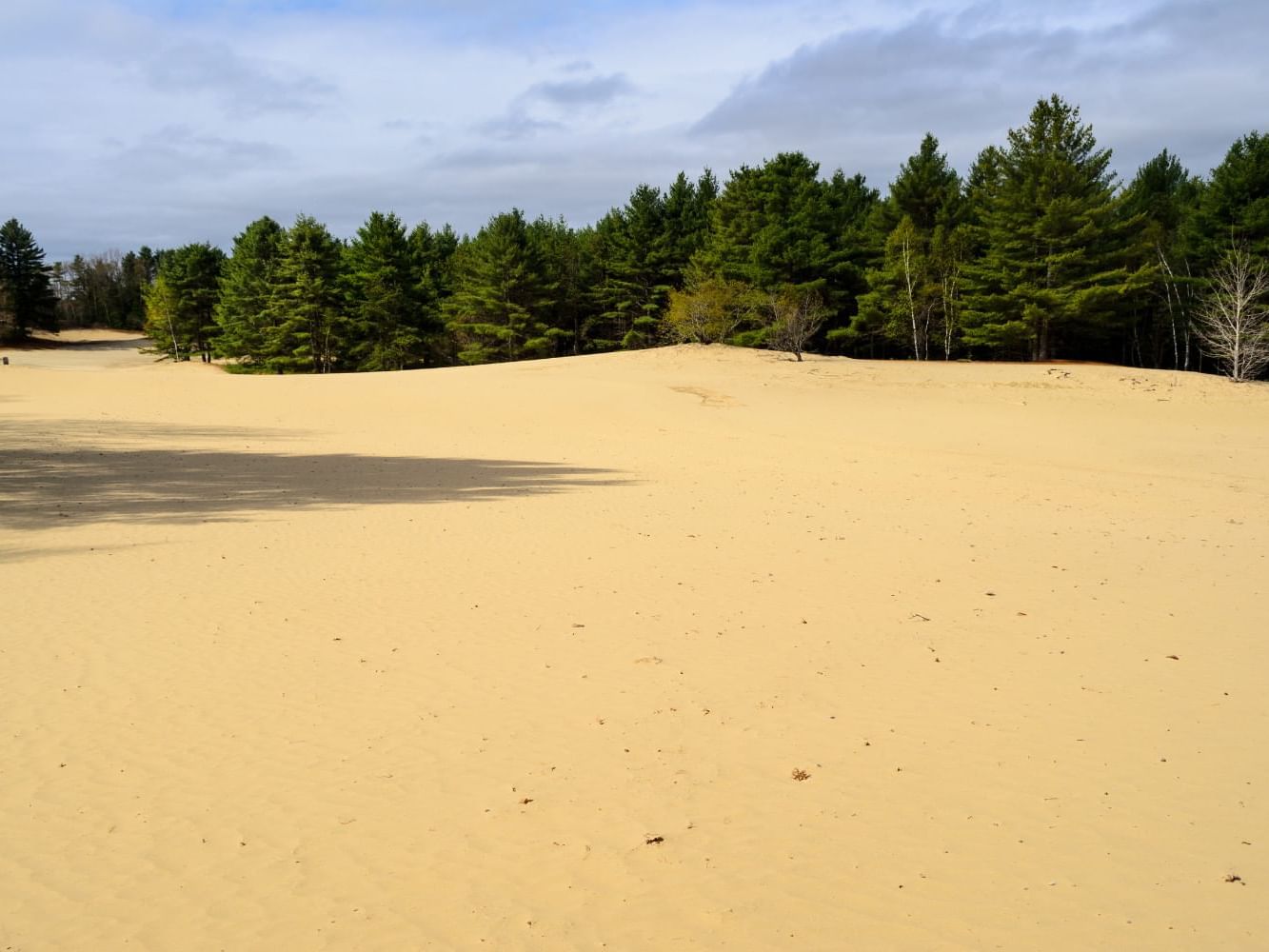 Desert of Maine campground near Ogunquit Collection