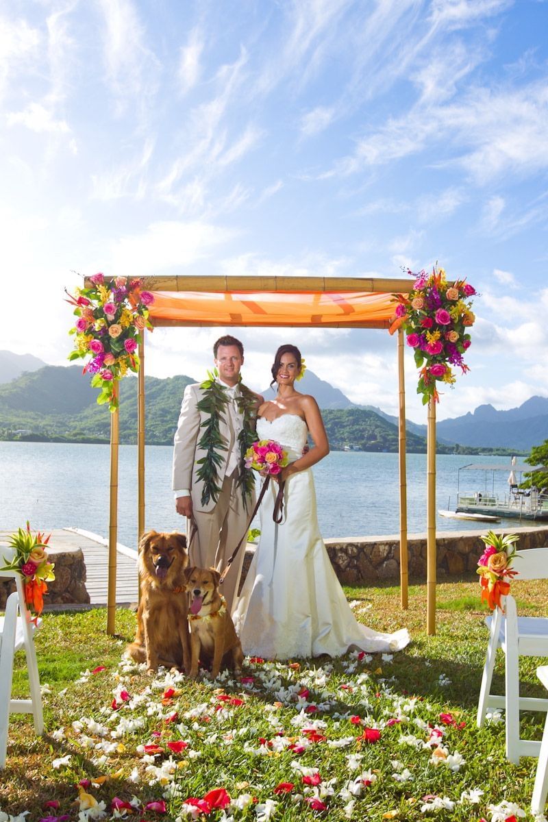 Wedded couple posing with their pet dogs by the outdoor flower arch in Kāne‘ohe Bay at Paradise Bay Resort