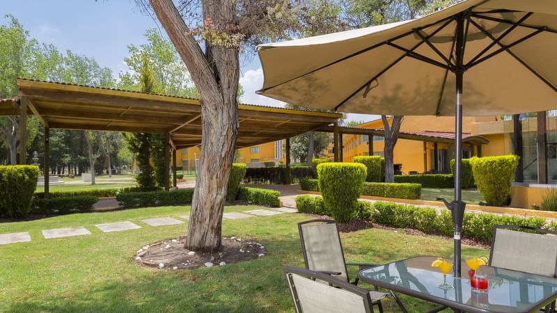 Garden area with umbrella and seating area at Gamma Pachuca