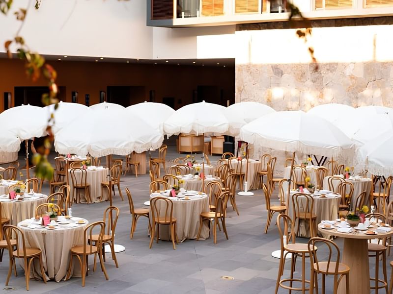 bodas