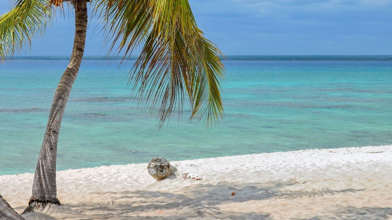 Cancuncito en Veracruz