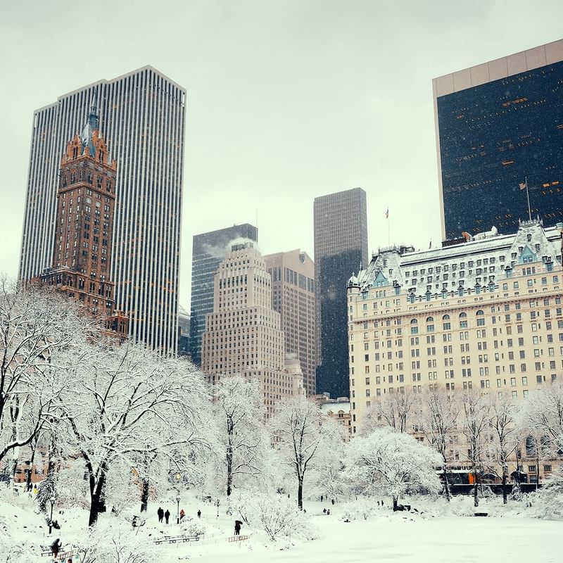 New York in winter