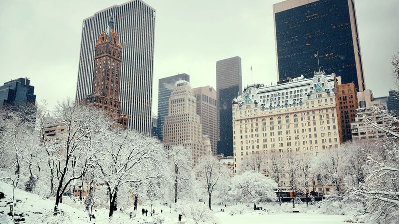 New York in winter