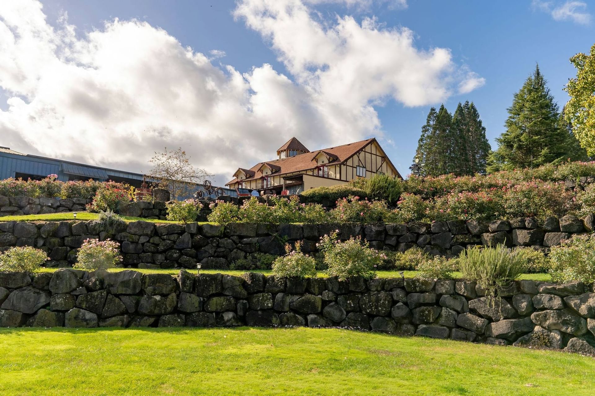 Overview of Tasting Room and Green Scenery
