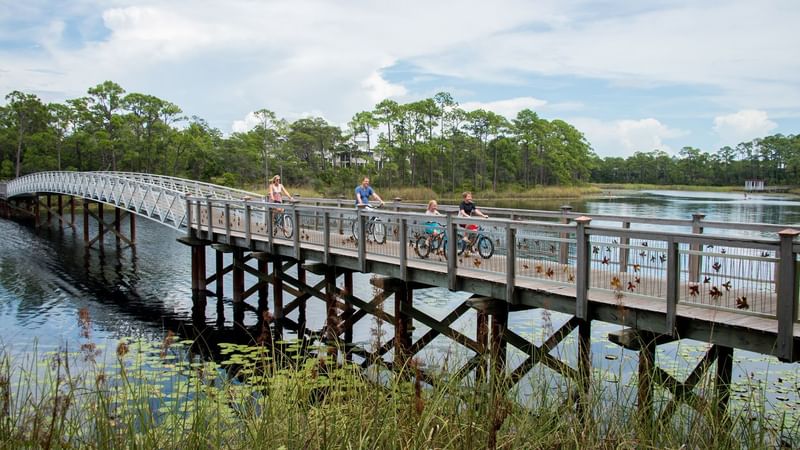 A family riding bicycles on a path near WaterColor Inn
