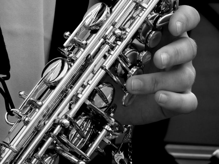 Close-up of person playing a saxophone at Anaheim Portofino Inn & Suites