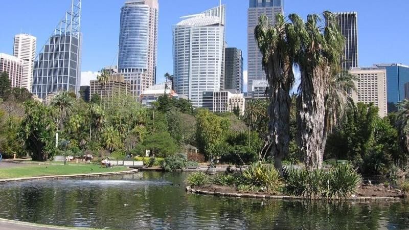 The Royal Botanic Gardens near Pullman Quay Grand Sydney