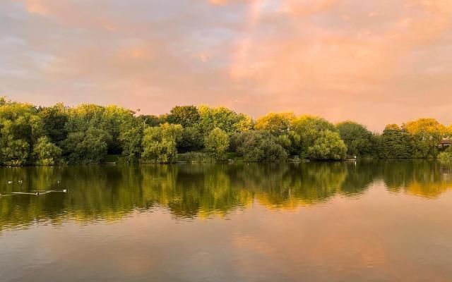 sunset at goldsworth park lake in woking