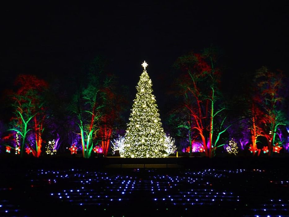 outdoor lights lit up trees at cantigny