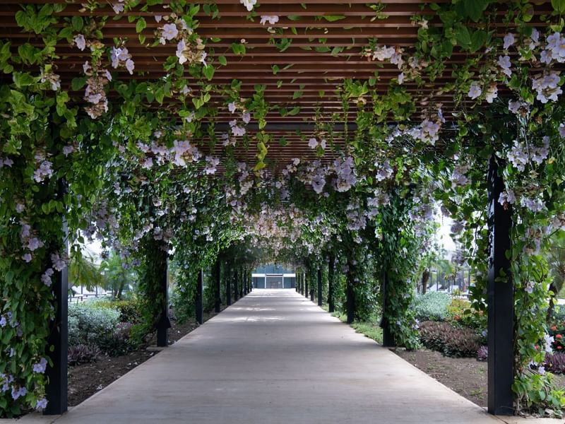 Flower Tunnel in an outdoor wedding venue at Live Aqua Resorts