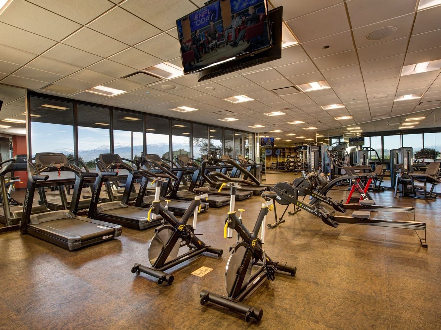 rows of treadmills and bikes in a gym