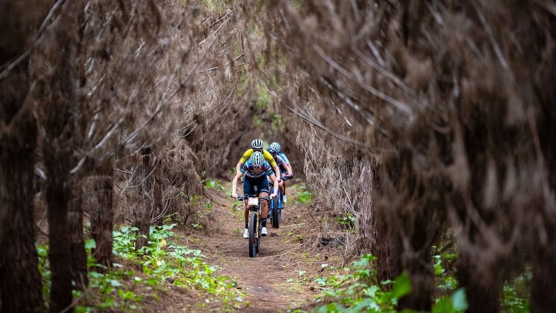 Mountain bikers racing through a tree-lined forest trail during Cape to Cape MTB 2026.