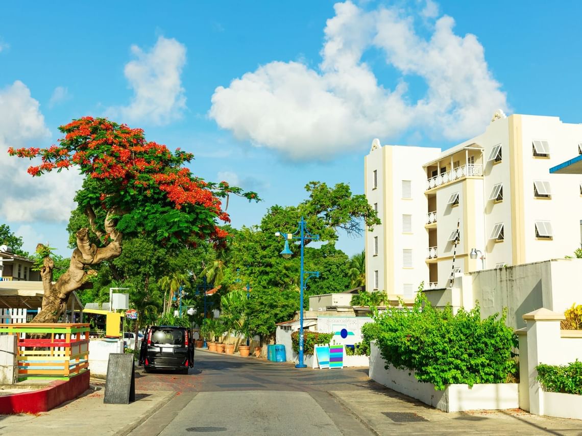 St. Lawrence Gap Southern Palms Beach Club Barbados