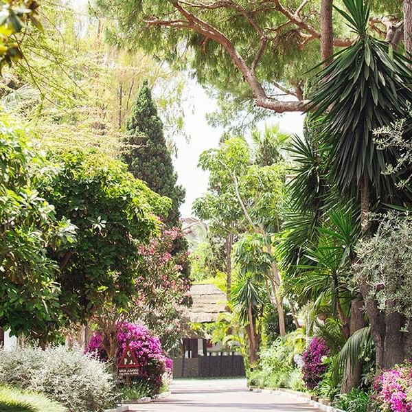 Path way in the garden surrounded by plants at Marbella Club