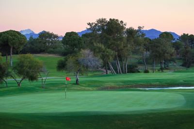 Titanic Golf Club Green and flag