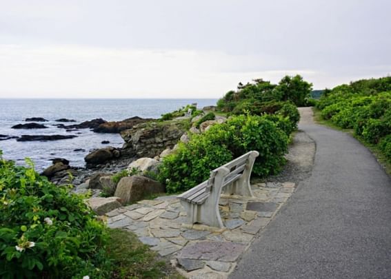 A bench on a coastal path, overlooking the ocean in Marginal Way near Anchorage by the Sea