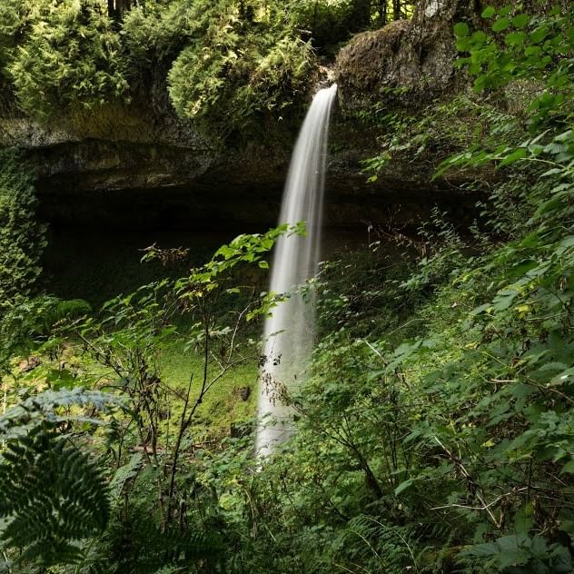 Waterfall flowing from top of a cliff into lush greenery below, with surrounding dense foliage and mossy rocks.