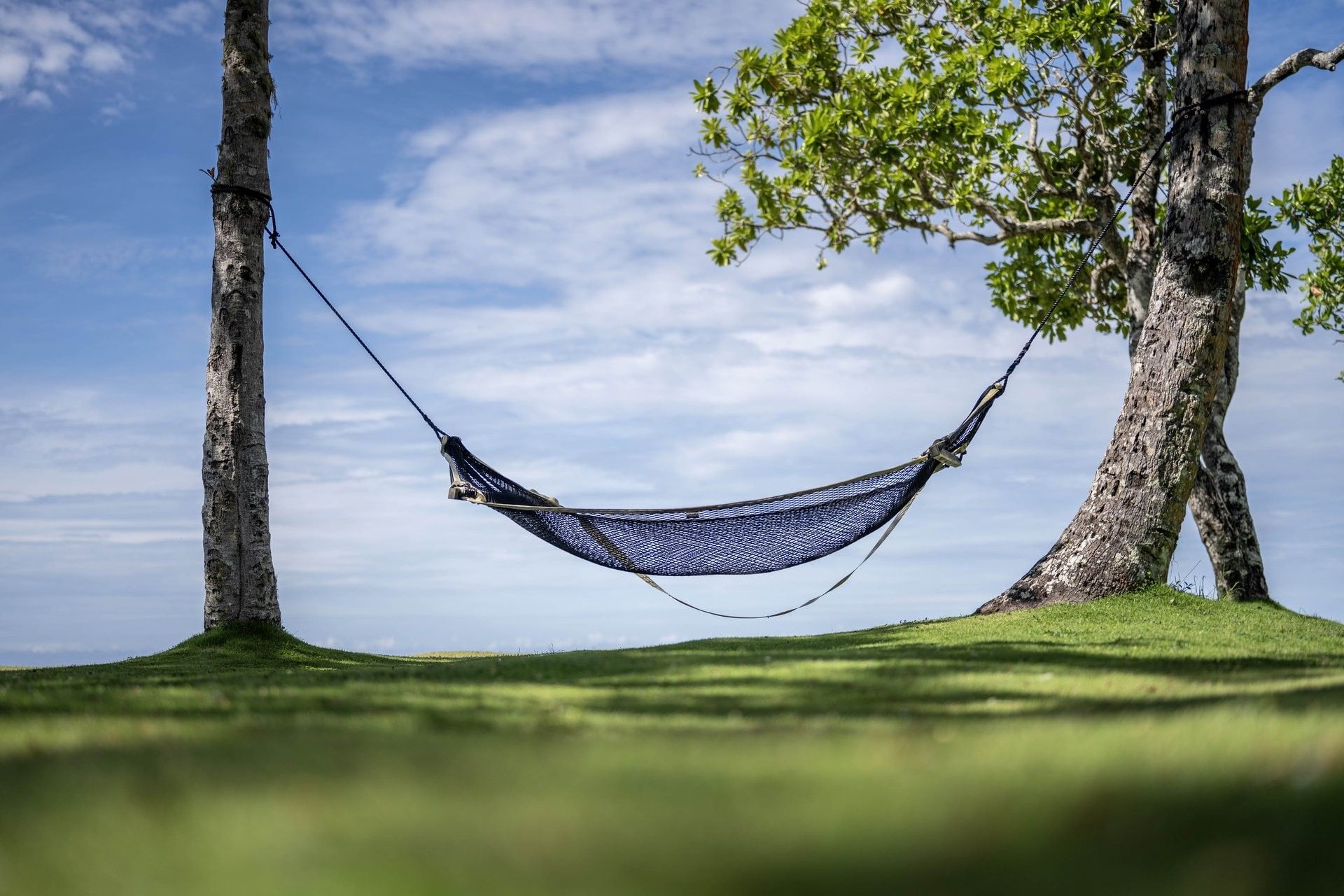 Net hammock by thick trees under a clear sky near the calm blue ocean at The Naviti Resort - Fiji
