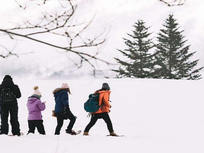 Snow shoeing in niseko near Chatrium Niseko Japan